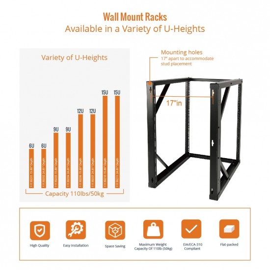 15U 24.81" Depth Wall Rack